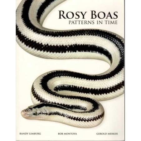 Rosy Boas, Patterns in Time