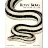 Rosy Boas, Patterns in Time
