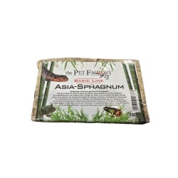 Sfagno asiatico