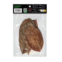 Foglie di jackfruit essiccate