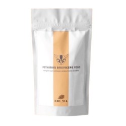 Petaurus Breviceps daily food