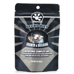 Pangea Mangime per Gechi -...