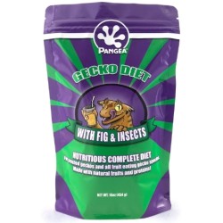 Pangea Gecko Diet – Fig & Insects