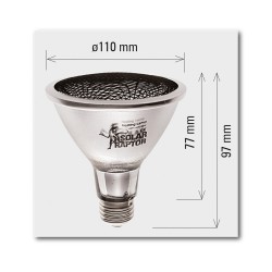 Lampada INFRAROSSI Deep Heat Projector Arcadia 50W