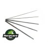 Herpcare 5x Sexing Probes