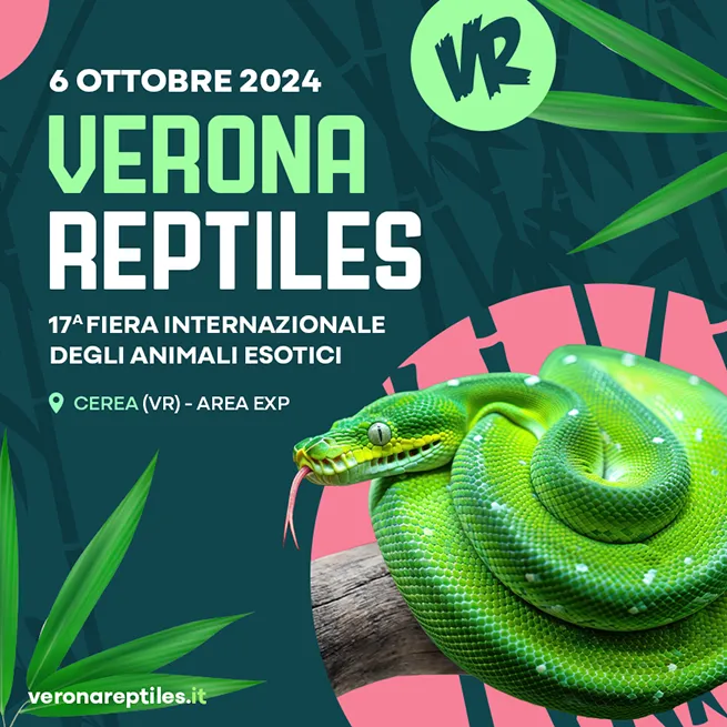 Verona Reptiles